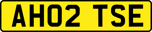 AH02TSE