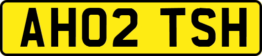 AH02TSH