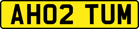 AH02TUM