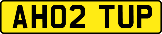 AH02TUP