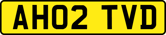 AH02TVD