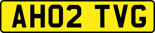 AH02TVG
