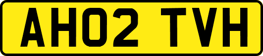 AH02TVH