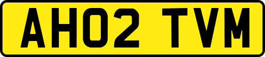 AH02TVM