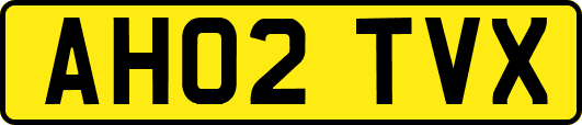 AH02TVX
