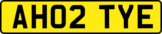 AH02TYE