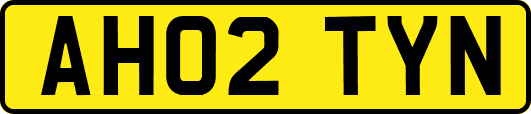 AH02TYN