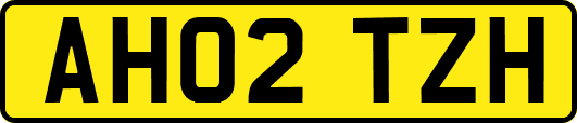 AH02TZH