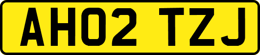 AH02TZJ