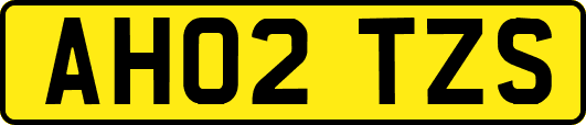 AH02TZS