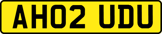 AH02UDU