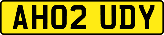 AH02UDY