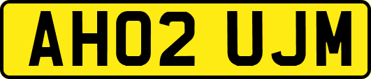 AH02UJM