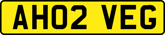 AH02VEG