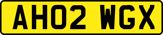 AH02WGX