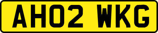 AH02WKG