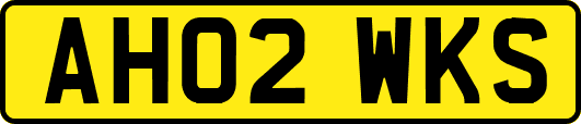AH02WKS
