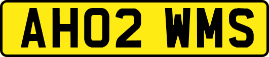 AH02WMS