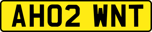 AH02WNT