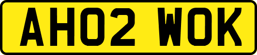 AH02WOK