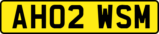AH02WSM