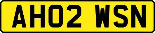 AH02WSN