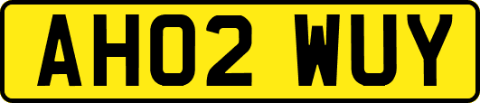 AH02WUY
