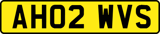 AH02WVS