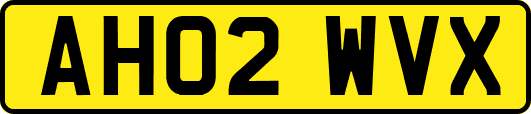 AH02WVX