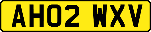 AH02WXV