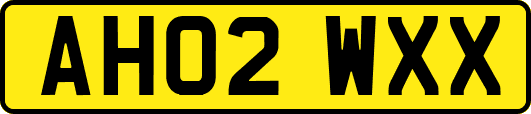 AH02WXX