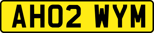 AH02WYM