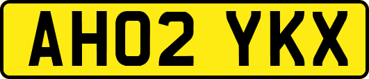 AH02YKX