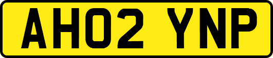 AH02YNP