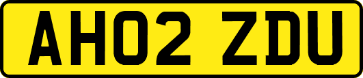 AH02ZDU