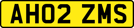 AH02ZMS