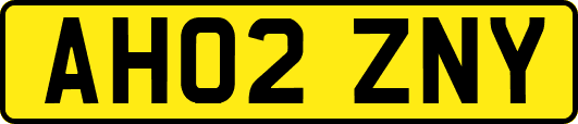 AH02ZNY