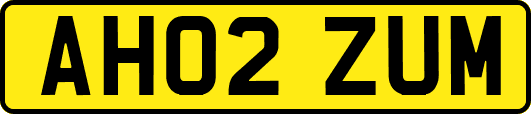 AH02ZUM