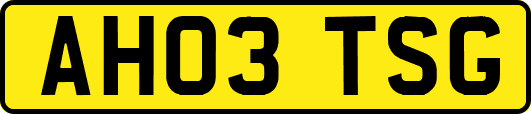 AH03TSG