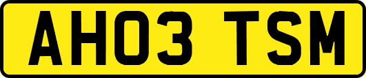 AH03TSM