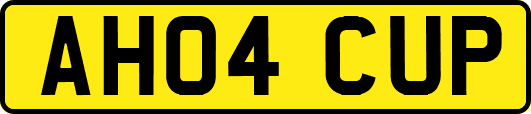 AH04CUP