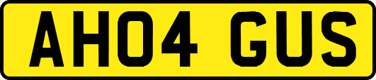 AH04GUS
