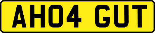 AH04GUT