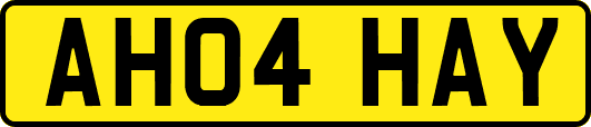 AH04HAY