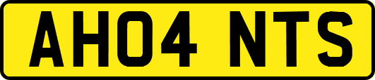 AH04NTS