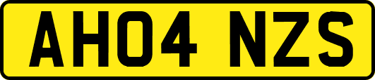 AH04NZS
