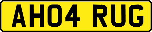 AH04RUG