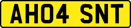 AH04SNT