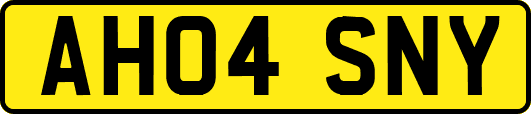 AH04SNY