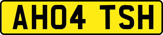 AH04TSH